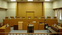 「判決を申し渡す」...あたしは水色の護送車に乗せられて、女子刑務所に送られた。